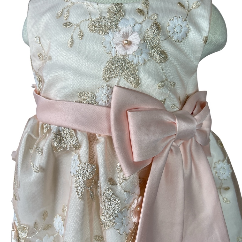 Rare Editions Cream and Blush Pink Peach Embroidered Overlay Dress 24 Months - Picture 3 of 4